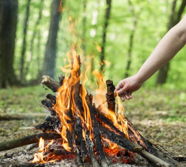 Forest   bonfire recreation